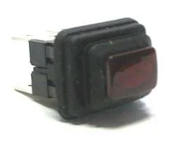 INTERRUTTORE LUMINOSO 19X13 4C LUCE.FROG ROSS0