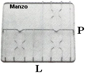GRIGLIA 3 FUOCHI  447X456  SX