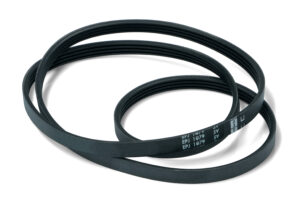 CINGHIA RIGATA EL 1079 J4